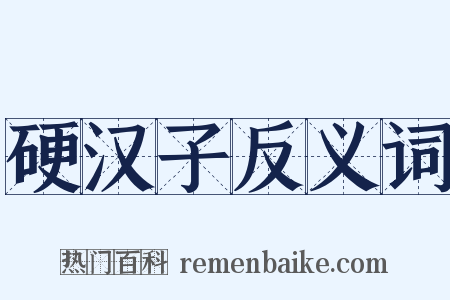硬汉子反义词是什么意思的图片
